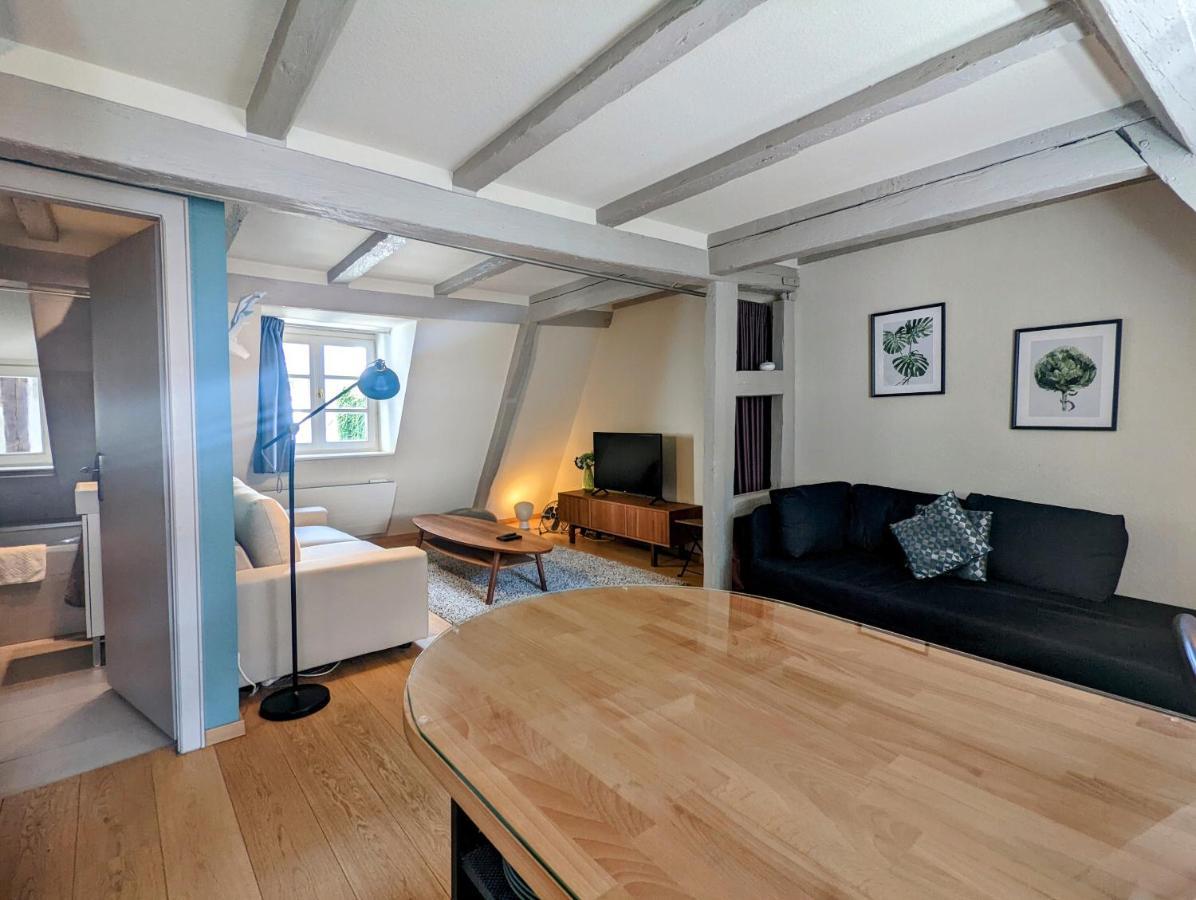 Citycosy Strasbourg - Authentique Batelier 외부 사진